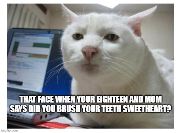 Did you brush your teeth sweetheart? LOL | THAT FACE WHEN YOUR EIGHTEEN AND MOM SAYS DID YOU BRUSH YOUR TEETH SWEETHEART? | image tagged in brushing teeth | made w/ Imgflip meme maker