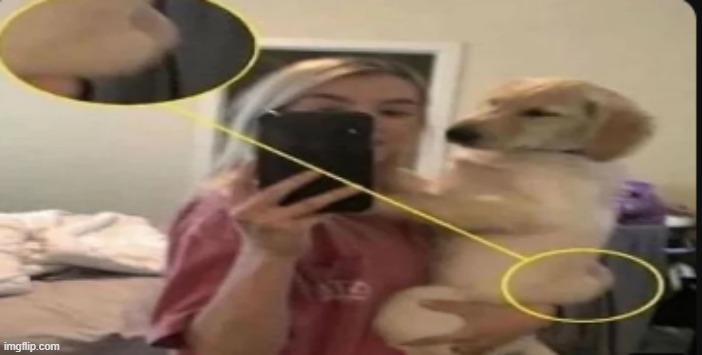 the dog: | image tagged in i will not hear you out | made w/ Imgflip meme maker