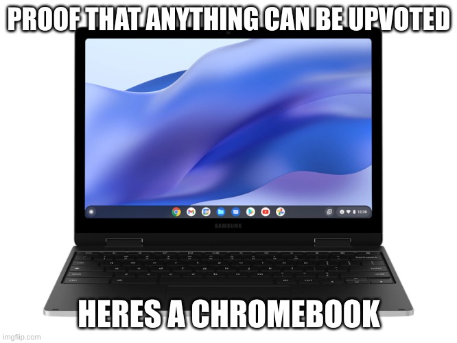 PROOF THAT ANYTHING CAN BE UPVOTED; HERES A CHROMEBOOK | image tagged in chromebook,will,win | made w/ Imgflip meme maker