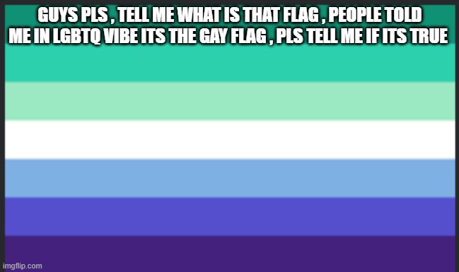 also pls tell me its not , i love the rainbow too much | GUYS PLS , TELL ME WHAT IS THAT FLAG , PEOPLE TOLD ME IN LGBTQ VIBE ITS THE GAY FLAG , PLS TELL ME IF ITS TRUE | image tagged in gay | made w/ Imgflip meme maker