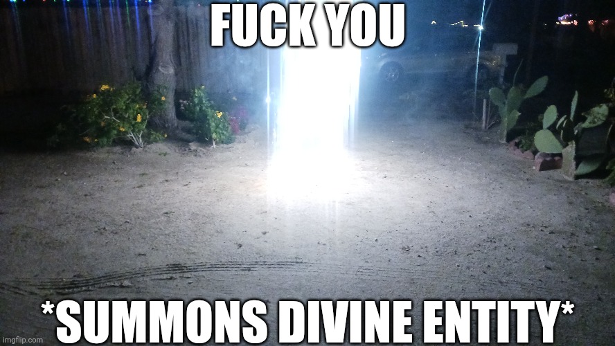 FUCK YOU; *SUMMONS DIVINE ENTITY* | image tagged in shitpost | made w/ Imgflip meme maker