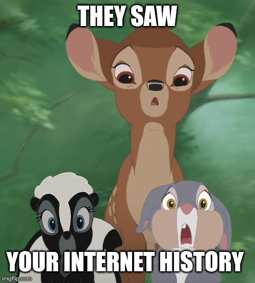 Bambi team saw your internet history | THEY SAW; YOUR INTERNET HISTORY | image tagged in memes,bambi,thumper,flower,disney | made w/ Imgflip meme maker