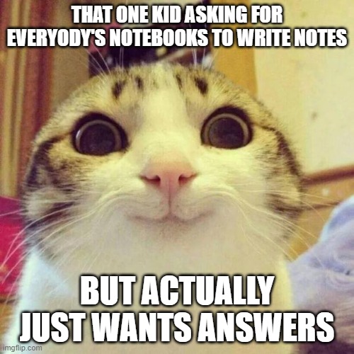 Everyone hates him | THAT ONE KID ASKING FOR EVERYODY'S NOTEBOOKS TO WRITE NOTES; BUT ACTUALLY JUST WANTS ANSWERS | image tagged in memes,smiling cat,notes,dumb | made w/ Imgflip meme maker