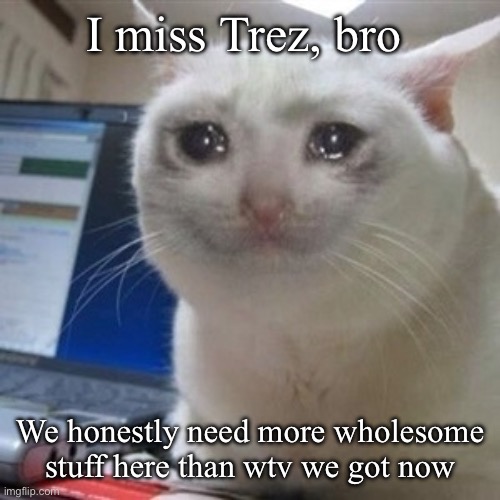 Crying cat | I miss Trez, bro; We honestly need more wholesome stuff here than wtv we got now | image tagged in crying cat | made w/ Imgflip meme maker