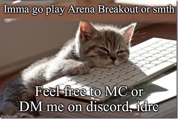 Bored Keyboard Cat | Imma go play Arena Breakout or smth; Feel free to MC or DM me on discord, idrc | image tagged in bored keyboard cat | made w/ Imgflip meme maker