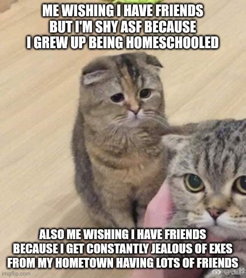 Me wishing I have friends | ME WISHING I HAVE FRIENDS BUT I'M SHY ASF BECAUSE I GREW UP BEING HOMESCHOOLED; ALSO ME WISHING I HAVE FRIENDS BECAUSE I GET CONSTANTLY JEALOUS OF EXES FROM MY HOMETOWN HAVING LOTS OF FRIENDS | image tagged in cats,lonely,jealousy,friends,sad | made w/ Imgflip meme maker