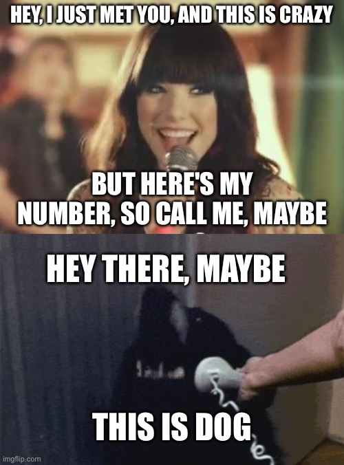Dog phone | HEY, I JUST MET YOU, AND THIS IS CRAZY; BUT HERE'S MY NUMBER, SO CALL ME, MAYBE; HEY THERE, MAYBE; THIS IS DOG | image tagged in call me maybe,phone dog,dog | made w/ Imgflip meme maker