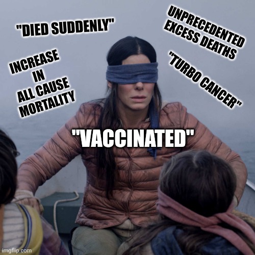 Nothing to see here | UNPRECEDENTED EXCESS DEATHS; INCREASE IN ALL CAUSE MORTALITY; "DIED SUDDENLY"; "TURBO CANCER"; "VACCINATED" | image tagged in memes,bird box | made w/ Imgflip meme maker