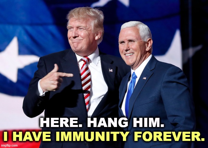 I may have to hang the next vice-president, too. | HERE. HANG HIM. I HAVE IMMUNITY FOREVER. | image tagged in trump points to pence hang him i have immunity forever,trump,immunity,mike pence,hanging | made w/ Imgflip meme maker