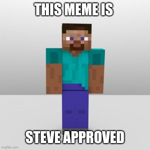 Steve | THIS MEME IS STEVE APPROVED | image tagged in steve | made w/ Imgflip meme maker