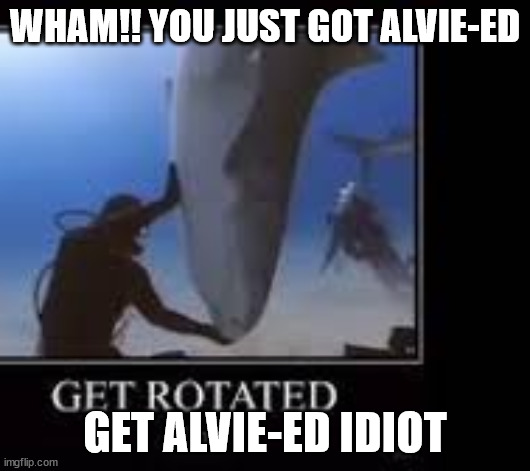 Get rotated idiot | WHAM!! YOU JUST GOT ALVIE-ED; GET ALVIE-ED IDIOT | image tagged in get rotated idiot | made w/ Imgflip meme maker