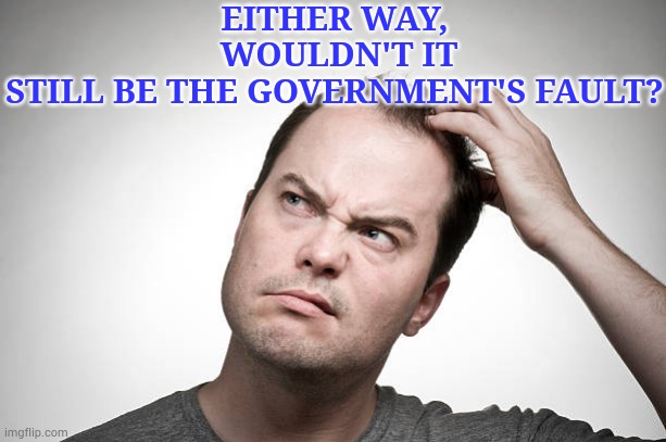 confused | EITHER WAY,  WOULDN'T IT STILL BE THE GOVERNMENT'S FAULT? | image tagged in confused | made w/ Imgflip meme maker