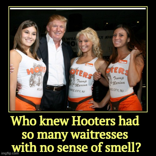 Who knew Hooters had 
so many waitresses 
with no sense of smell? | | image tagged in funny,demotivationals,trump,hooters girls,smelly | made w/ Imgflip demotivational maker