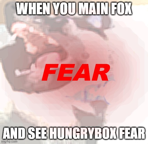 When You See Hungrybox | WHEN YOU MAIN FOX; FEAR; AND SEE HUNGRYBOX FEAR | image tagged in angy doggo | made w/ Imgflip meme maker