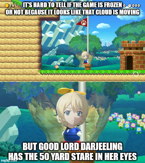 Silently judging your lack of Proverbs | IT'S HARD TO TELL IF THE GAME IS FROZEN OR NOT BECAUSE IT LOOKS LIKE THAT CLOUD IS MOVING; BUT GOOD LORD DARJEELING HAS THE 50 YARD STARE IN HER EYES | image tagged in memes,girls und panzer | made w/ Imgflip meme maker