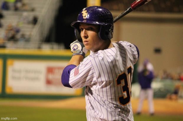 LSU Baseball  | image tagged in lsu baseball | made w/ Imgflip meme maker