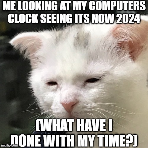 Depressed Cat | ME LOOKING AT MY COMPUTERS CLOCK SEEING ITS NOW 2024; (WHAT HAVE I DONE WITH MY TIME?) | image tagged in depressed cat,2024 | made w/ Imgflip meme maker
