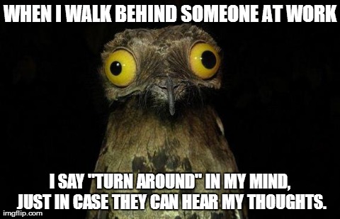 Weird Stuff I Do Potoo | WHEN I WALK BEHIND SOMEONE AT WORK I SAY "TURN AROUND" IN MY MIND, JUST IN CASE THEY CAN HEAR MY THOUGHTS. | image tagged in memes,weird stuff i do potoo,AdviceAnimals | made w/ Imgflip meme maker