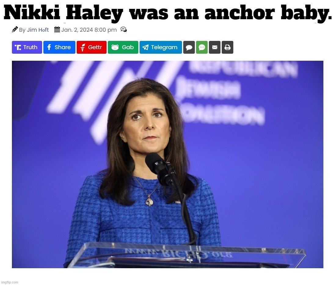 The Gateway Pundit: Nikki Haley was an anchor baby. | image tagged in nikki haley,anchor baby,ineligible,potus,pundit,natural born citizen | made w/ Imgflip meme maker