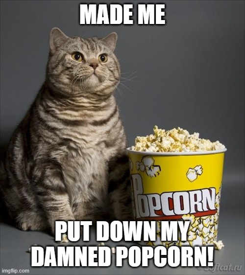 MADE ME put down my DAMNED POPCORN! | MADE ME; PUT DOWN MY DAMNED POPCORN! | image tagged in cat eating popcorn | made w/ Imgflip meme maker