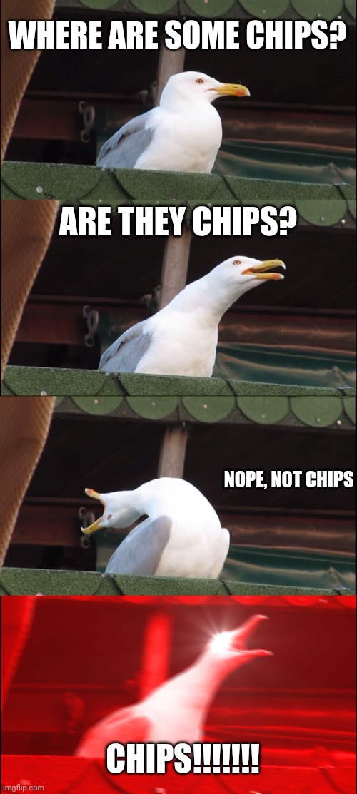 Seagull wants chips | WHERE ARE SOME CHIPS? ARE THEY CHIPS? NOPE, NOT CHIPS; CHIPS!!!!!!! | image tagged in memes,inhaling seagull | made w/ Imgflip meme maker