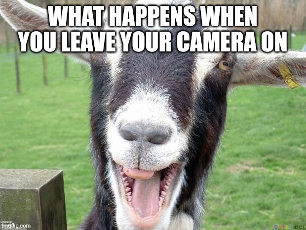 Funny Goat | WHAT HAPPENS WHEN YOU LEAVE YOUR CAMERA ON | image tagged in funny goat | made w/ Imgflip meme maker