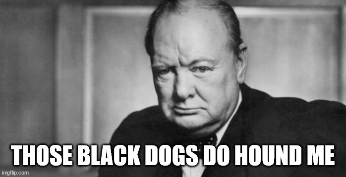 winston churchill | THOSE BLACK DOGS DO HOUND ME | image tagged in winston churchill | made w/ Imgflip meme maker