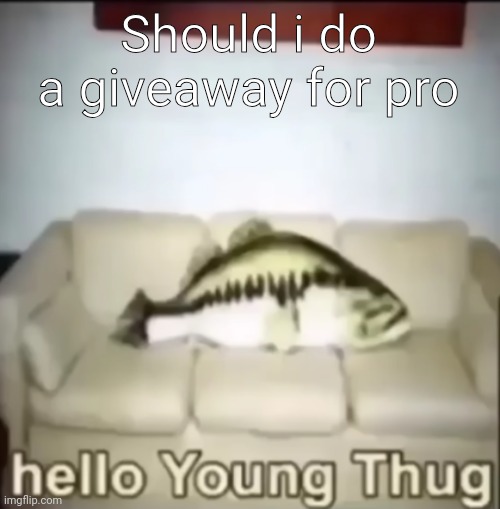 Hello Young Thug | Should i do a giveaway for pro | image tagged in hello young thug | made w/ Imgflip meme maker