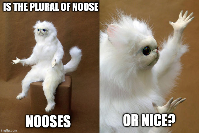 Persian Cat Room Guardian Meme | IS THE PLURAL OF NOOSE OR NICE? NOOSES | image tagged in memes,persian cat room guardian | made w/ Imgflip meme maker
