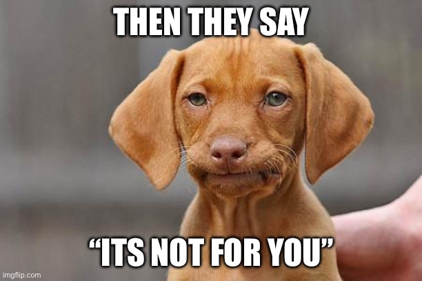 Dissapointed puppy | THEN THEY SAY “ITS NOT FOR YOU” | image tagged in dissapointed puppy | made w/ Imgflip meme maker