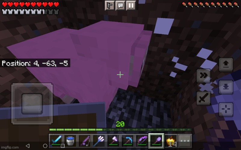 I found a naturally spawning pink sheep on my superflat world :) | made w/ Imgflip meme maker