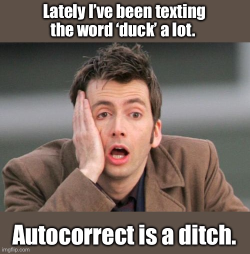 Autocorrect | Lately I’ve been texting the word ‘duck’ a lot. Autocorrect is a ditch. | image tagged in face palm | made w/ Imgflip meme maker