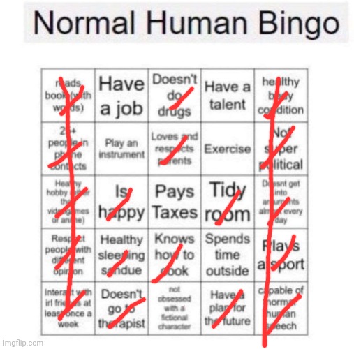 Two bingo's | image tagged in normal human bingo | made w/ Imgflip meme maker