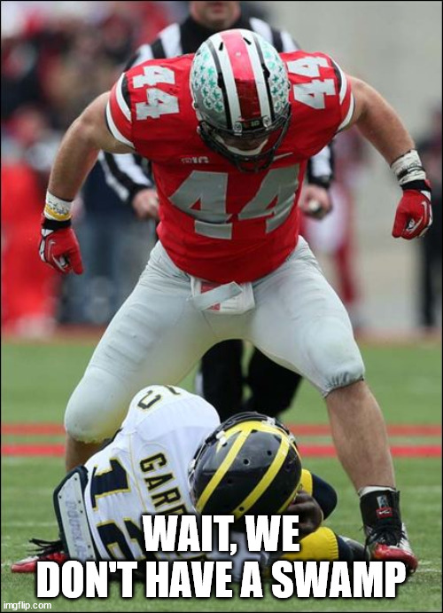 Ohio State | WAIT, WE DON'T HAVE A SWAMP | image tagged in ohio state | made w/ Imgflip meme maker
