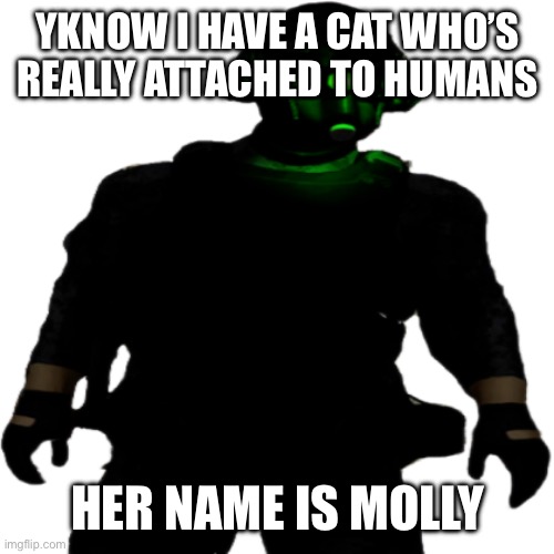 Clarkson Cloaker | YKNOW I HAVE A CAT WHO’S REALLY ATTACHED TO HUMANS; HER NAME IS MOLLY | image tagged in clarkson cloaker | made w/ Imgflip meme maker