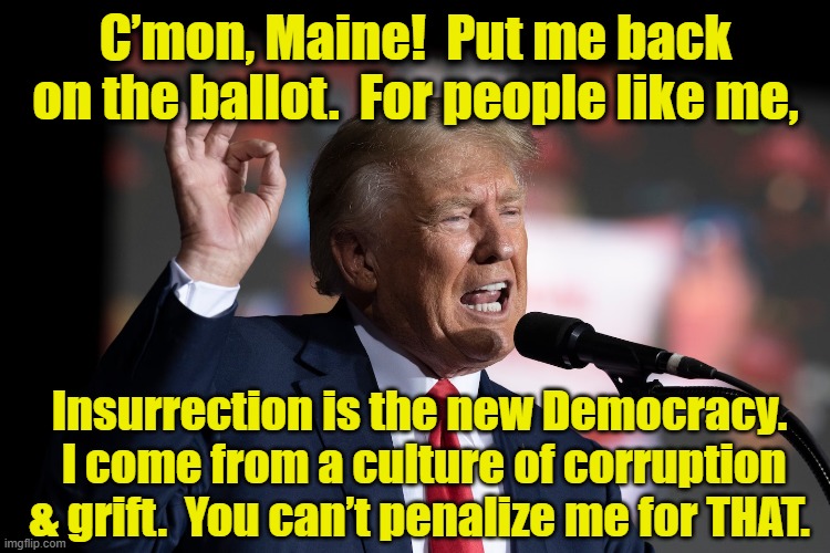 tRump Freedom of Speech | C’mon, Maine!  Put me back on the ballot.  For people like me, Insurrection is the new Democracy.  I come from a culture of corruption & grift.  You can’t penalize me for THAT. | image tagged in maga,nevertrump,donald trump approves,president trump,government corruption,fascism | made w/ Imgflip meme maker