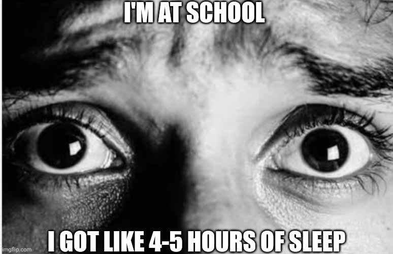 Wish me luck | I'M AT SCHOOL; I GOT LIKE 4-5 HOURS OF SLEEP | image tagged in unnerved stare | made w/ Imgflip meme maker