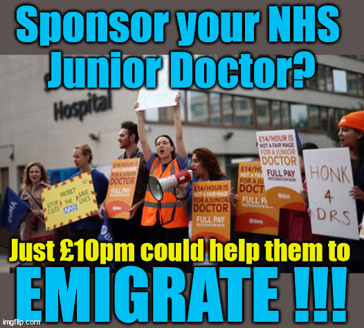 How much do junior doctors earn? - Yr 1 £29k (£14/h) - Yr 2 £34k - Yr 3/4 £40k - Yr 5-7 £51k - Yr 8-10 £58k + perks + private | Sponsor your NHS 
Junior Doctor? So, How much do junior doctors earn? - Yr 1 (£14p/h+) £29,384 - Yr 2 (£16p/h+) £34,012 - Yr 3/4 (19p/h+) £40,257 - Yr 5-7 (£24p/h+) £51,017 - Yr 8-10 (£28p/h+) £58,398 - Basic Plus Extras, Pension, Discounts; Just £10pm could help them to; EMIGRATE !!! | image tagged in junior doctor,emigrate,nhs,union,bma | made w/ Imgflip meme maker