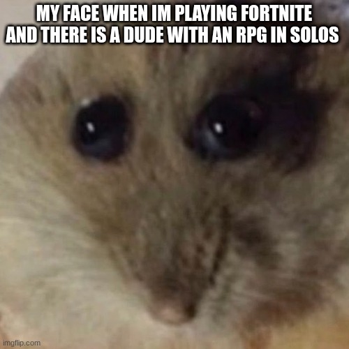 hampter | MY FACE WHEN IM PLAYING FORTNITE AND THERE IS A DUDE WITH AN RPG IN SOLOS | image tagged in fortnite | made w/ Imgflip meme maker