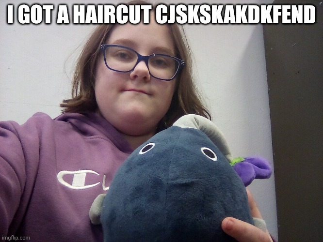 Wawa | I GOT A HAIRCUT CJSKSKAKDKFEND | image tagged in hair | made w/ Imgflip meme maker