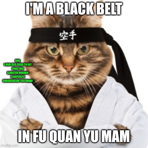 Karate cat | I'M A BLACK BELT; DIAL 1-800-555-5555 TO GET YOUR FREE ELDRITCH HORROR (LARPER(?)) CONSULTATION YESTERDAY; IN FU QUAN YU MAM | image tagged in karate cat | made w/ Imgflip meme maker