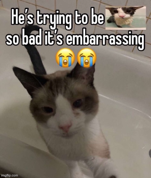 made w/ Imgflip meme maker