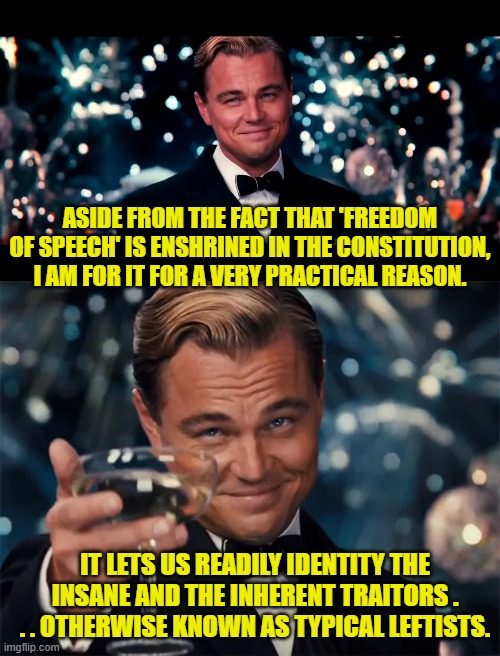 Still can't reply in comments for another 24 hours. | ASIDE FROM THE FACT THAT 'FREEDOM OF SPEECH' IS ENSHRINED IN THE CONSTITUTION, I AM FOR IT FOR A VERY PRACTICAL REASON. IT LETS US READILY IDENTITY THE INSANE AND THE INHERENT TRAITORS . . . OTHERWISE KNOWN AS TYPICAL LEFTISTS. | image tagged in yep | made w/ Imgflip meme maker