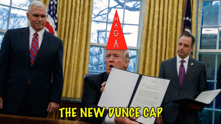 New dunce headgear | THE NEW DUNCE CAP | image tagged in trump executive orders | made w/ Imgflip meme maker