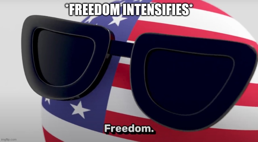 USA Freedom | *FREEDOM INTENSIFIES* | image tagged in freedom | made w/ Imgflip meme maker