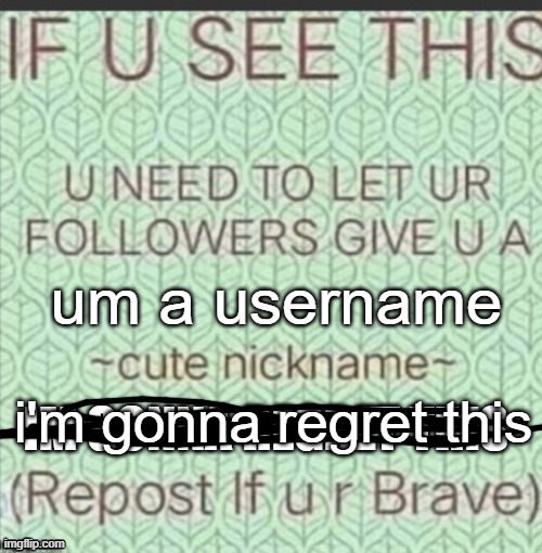 don't be dumb | um a username; i'm gonna regret this | image tagged in cute nickname,username | made w/ Imgflip meme maker