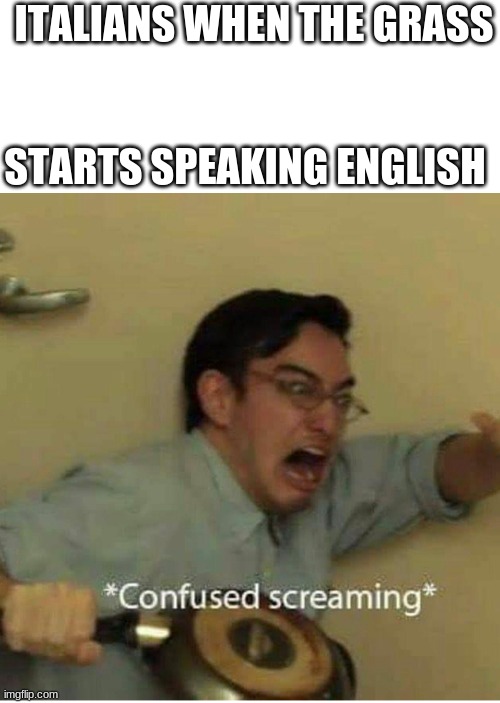 also gm MSMG | ITALIANS WHEN THE GRASS; STARTS SPEAKING ENGLISH | image tagged in confused screaming | made w/ Imgflip meme maker