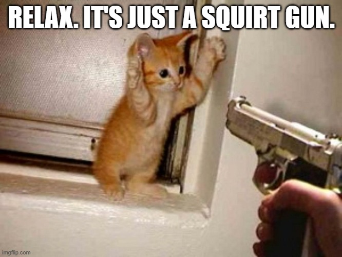 meme by Brad cat or kitten holding hands up for squirt gun | RELAX. IT'S JUST A SQUIRT GUN. | image tagged in cat,cats,scared cat,humor,kitten,cute kitten | made w/ Imgflip meme maker