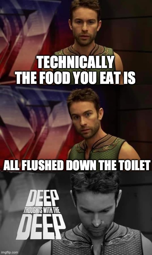 JiuyiuiuiHING | TECHNICALLY THE FOOD YOU EAT IS; ALL FLUSHED DOWN THE TOILET | image tagged in deep thoughts with the deep | made w/ Imgflip meme maker
