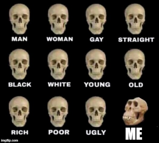 idiot skull | ME | image tagged in idiot skull | made w/ Imgflip meme maker